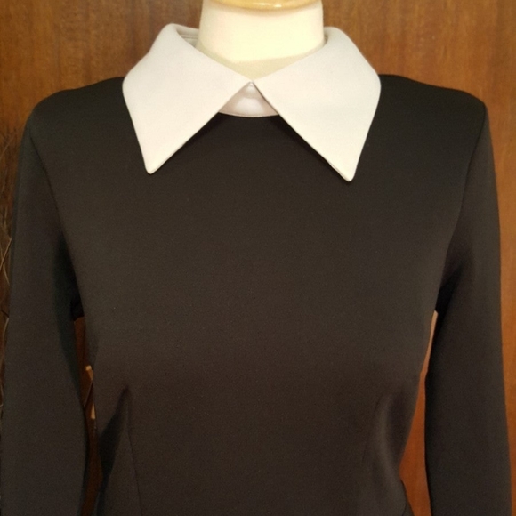 Modecrush Dress - Picture 4 of 10